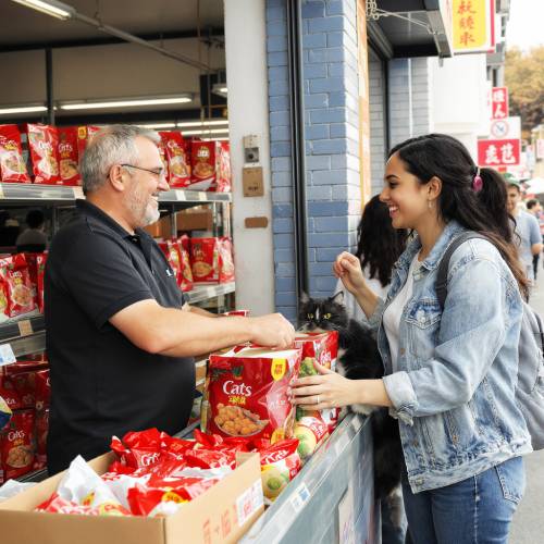 Alimentos para Gatos